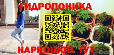 сатива Дубна