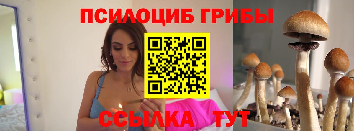 Ликино-Дулёво  Галлюциногенные грибы мухоморы  Псилоцибиновые грибы Psilocybe  Вход с VPN 